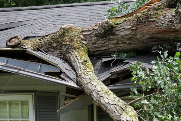 Storm Remediation in Sevierville
