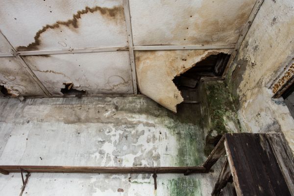 Water Damage Service in Sevierville