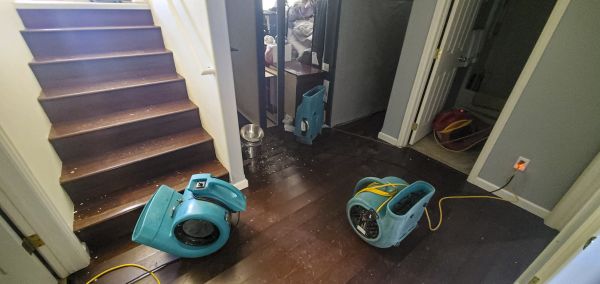 Water Damage Remediation in Sevierville